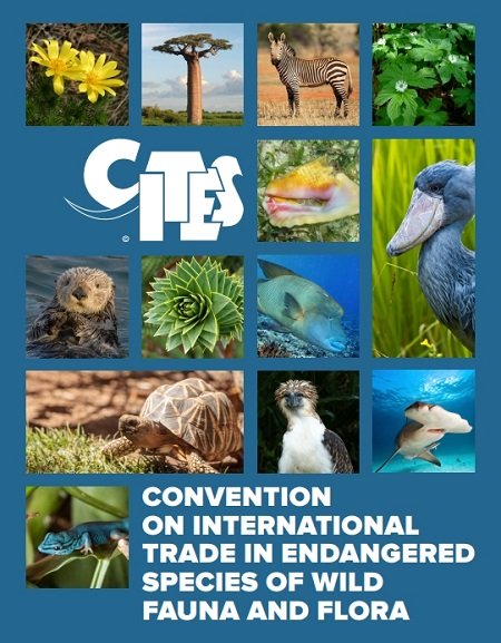 Convention on International Trade in Endangered Species of Wild Fauna and Flora (CITES) Agreement 2024